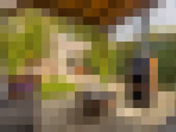 Korenbloemstraat 7 Steenderen thumbnail 28