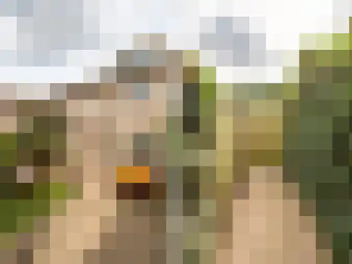 Korenbloemstraat 7 Steenderen thumbnail 29