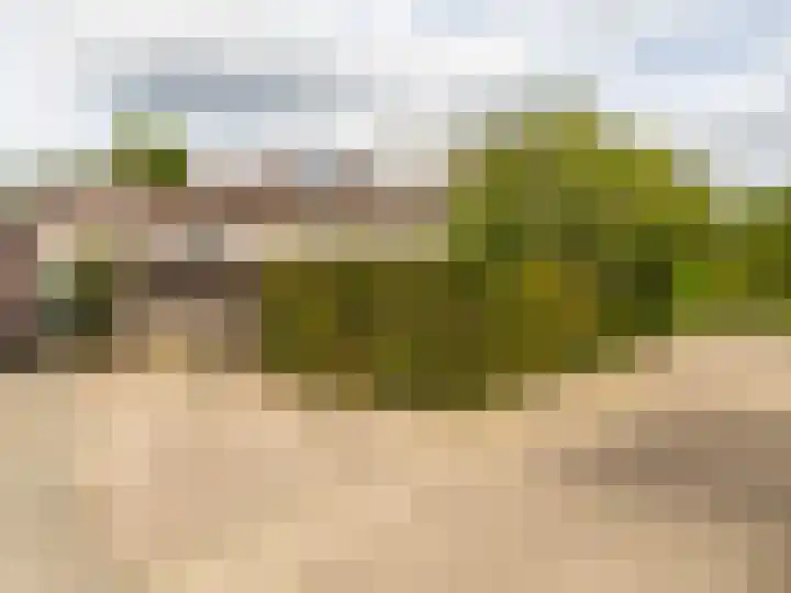 Korenbloemstraat 7 Steenderen thumbnail 30