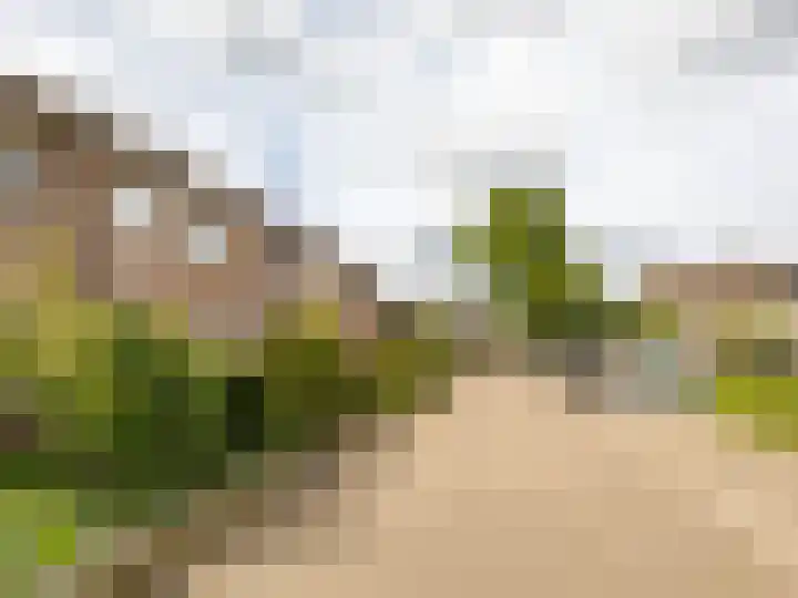 Korenbloemstraat 7 Steenderen thumbnail 32