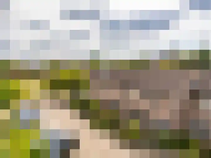 Korenbloemstraat 7 Steenderen thumbnail 33
