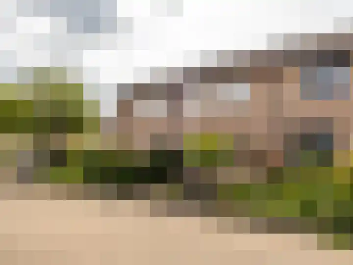 Korenbloemstraat 7 Steenderen thumbnail 34
