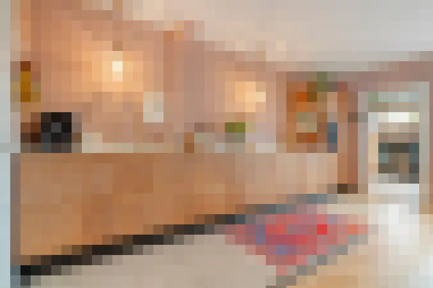 Korenbloemstraat 76 Zwolle thumbnail 13