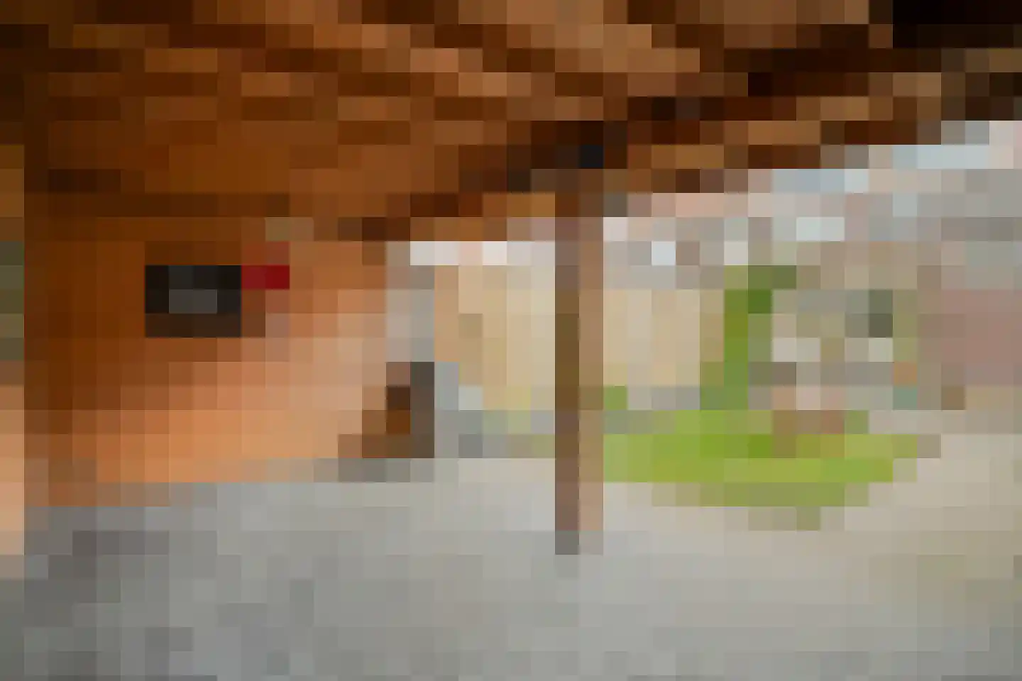 Korenbloemstraat 76 Zwolle thumbnail 29