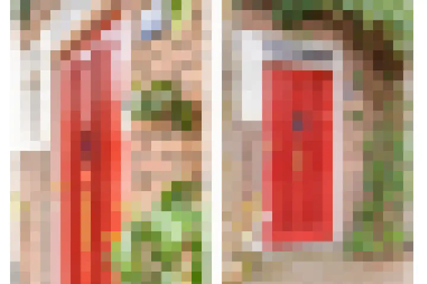 Korenbloemstraat 76 Zwolle thumbnail 7