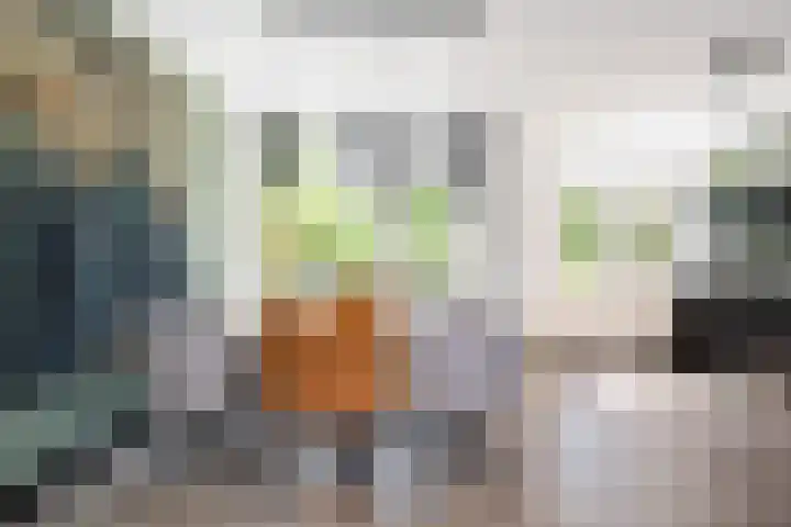 Korenbloemstraat 78 Zwolle thumbnail 12