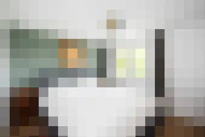Korenbloemstraat 78 Zwolle thumbnail 20