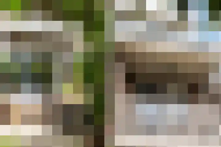 Korenbloemstraat 78 Zwolle thumbnail 33