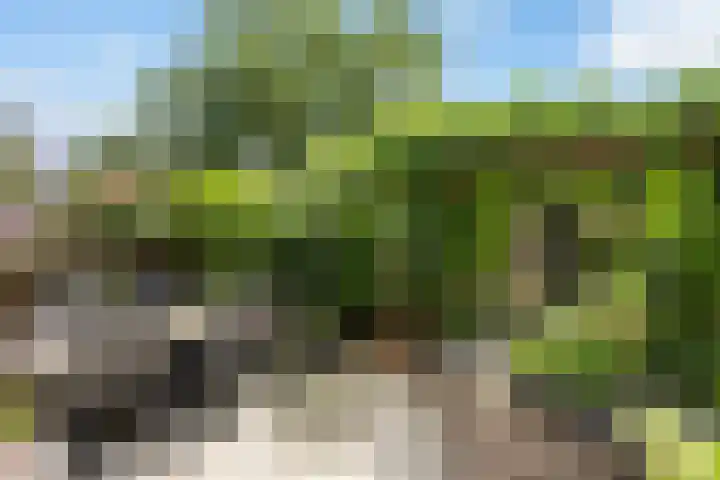 Korenbloemstraat 78 Zwolle thumbnail 34