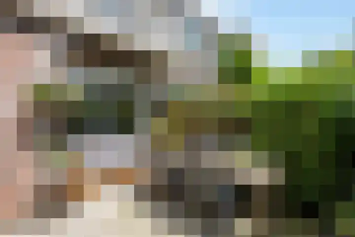 Korenbloemstraat 78 Zwolle thumbnail 35