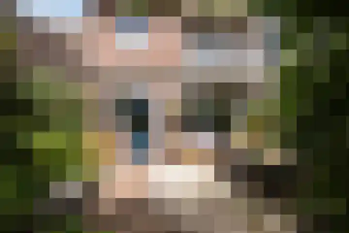 Korenbloemstraat 78 Zwolle thumbnail 38