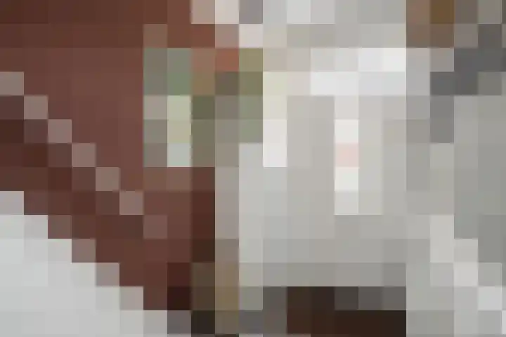 Korenbloemstraat 78 Zwolle thumbnail 4
