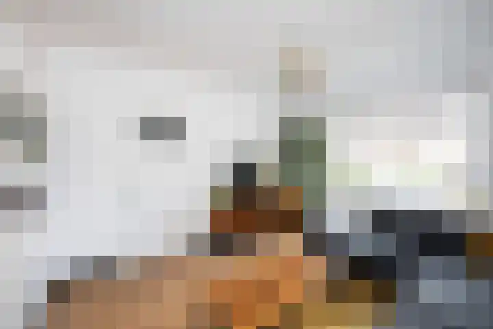 Korenbloemstraat 78 Zwolle thumbnail 6