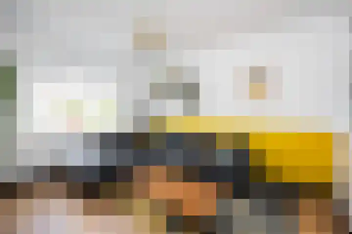 Korenbloemstraat 78 Zwolle thumbnail 8