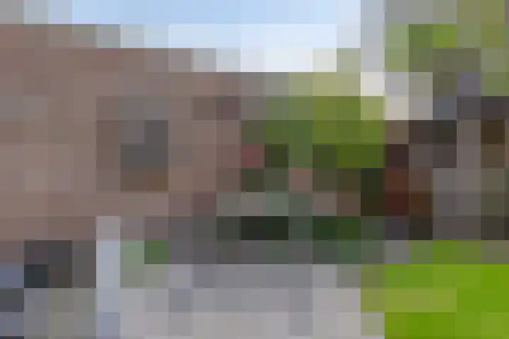 Korenbloemstraat 8 Baarle-Nassau thumbnail 36