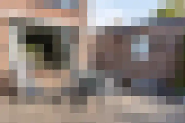 Korenbloemstraat 8 Baarle-Nassau thumbnail 37