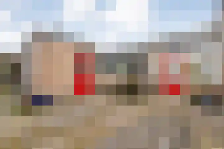 Korenbloemstraat 8 Ommen thumbnail 33