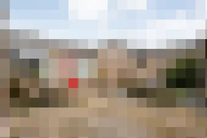 Korenbloemstraat 8 Ommen thumbnail 34