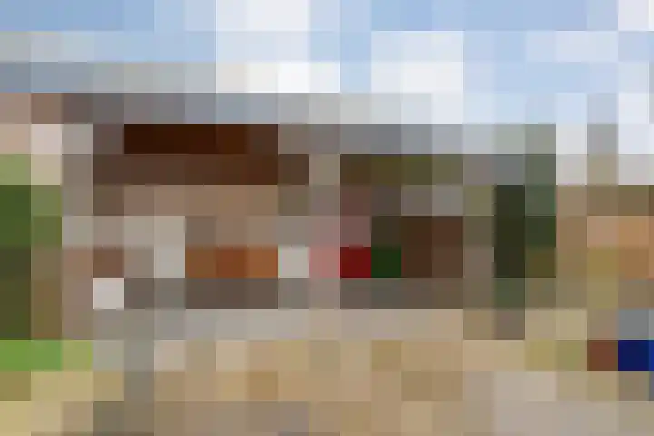 Korenbloemstraat 8 Ommen thumbnail 35