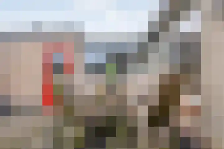 Korenbloemstraat 8 Ommen thumbnail 38