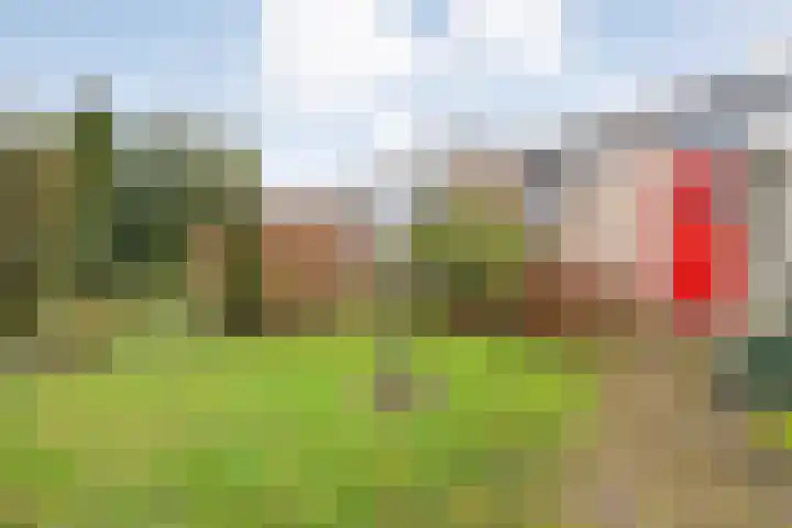 Korenbloemstraat 8 Ommen thumbnail 40