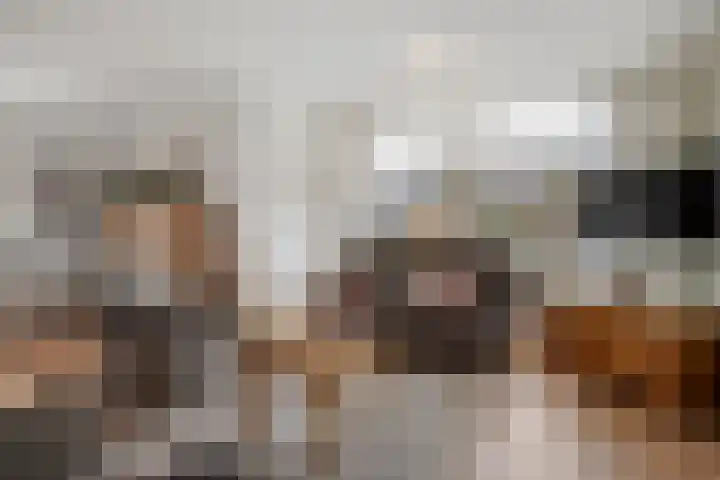 Korenbloemstraat 8 Ommen thumbnail 5