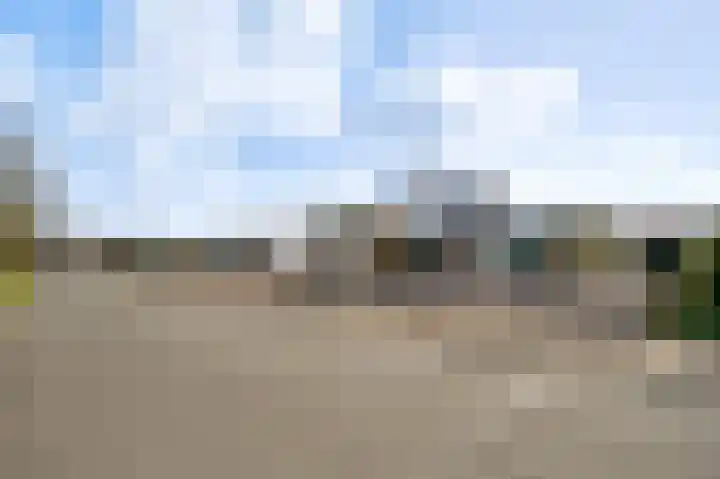 Korenbloemstraat 8 Ospel thumbnail 31