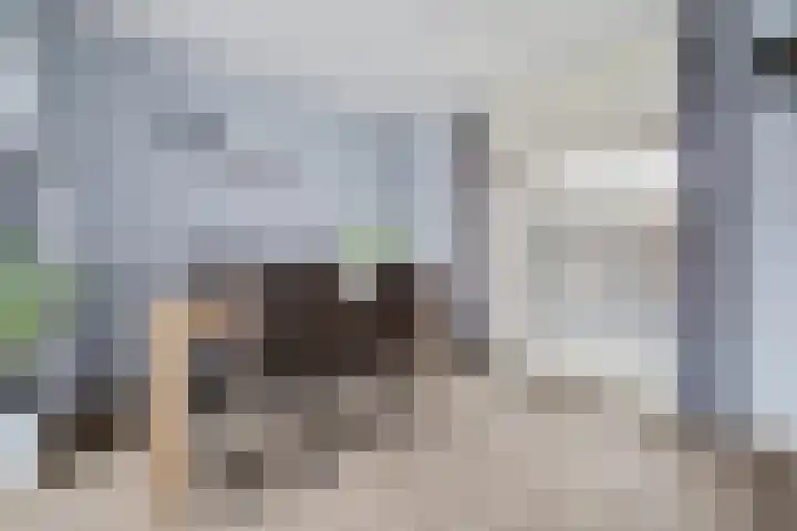 Korenbloemstraat 8 Waalwijk thumbnail 11