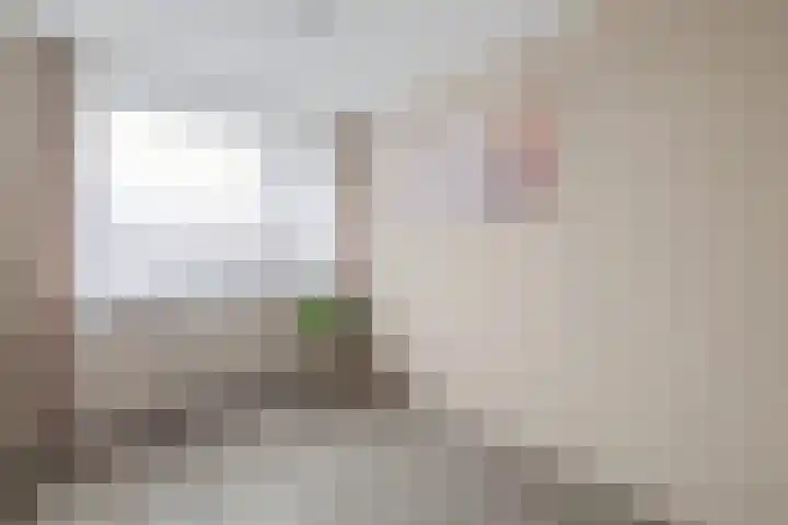 Korenbloemstraat 8 Waalwijk thumbnail 18