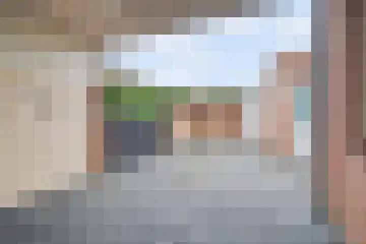 Korenbloemstraat 8 Waalwijk thumbnail 23