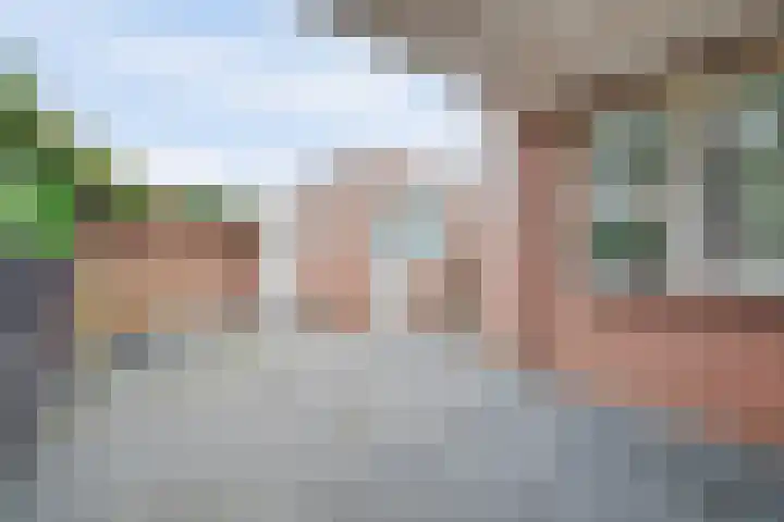 Korenbloemstraat 8 Waalwijk thumbnail 25