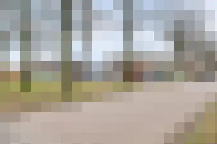 Korenbloemstraat 8 Waalwijk thumbnail 27