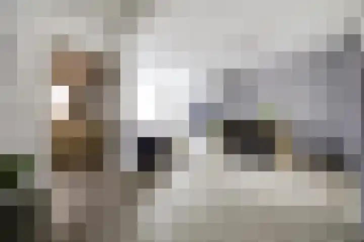 Korenbloemstraat 8 Waalwijk thumbnail 7
