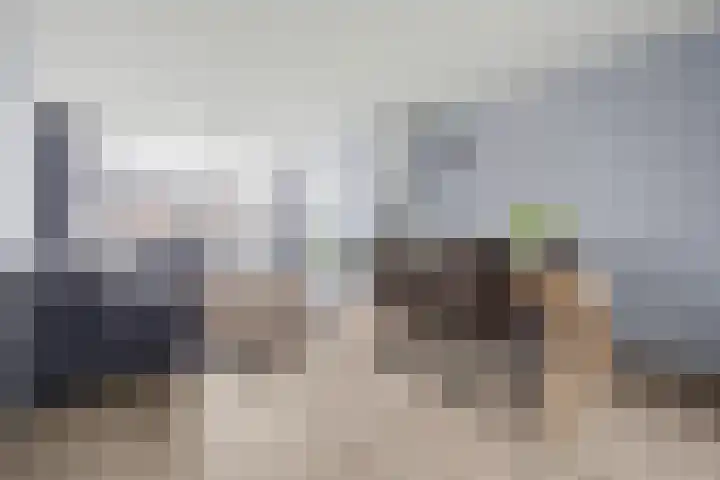 Korenbloemstraat 8 Waalwijk thumbnail 8