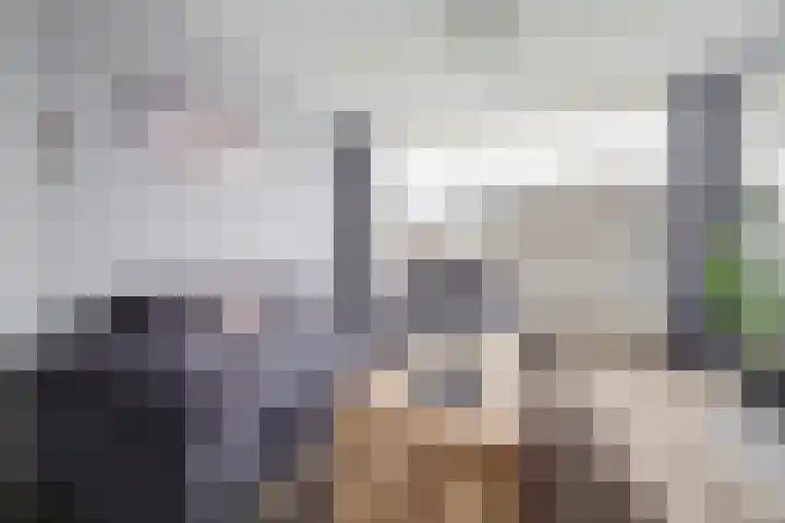 Korenbloemstraat 8 Waalwijk thumbnail 9