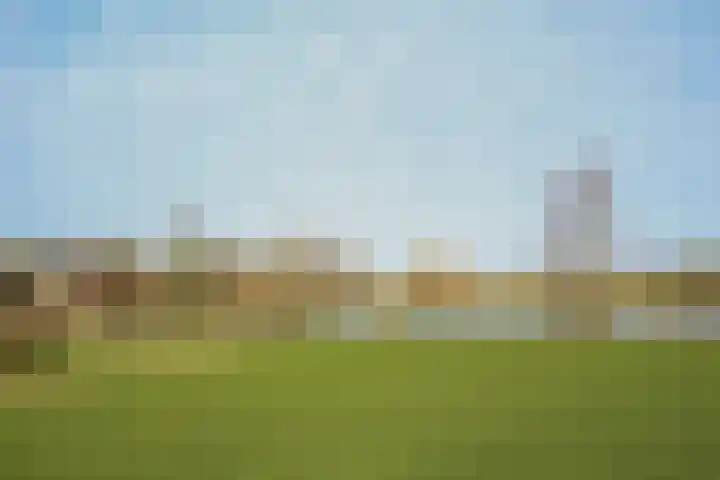 Korenbloemstraat 81 Boven-Leeuwen thumbnail 49