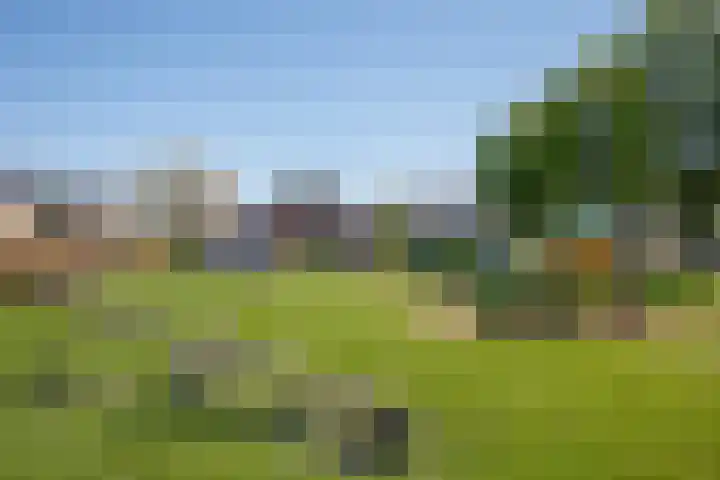 Korenbloemstraat 81 Boven-Leeuwen thumbnail 52