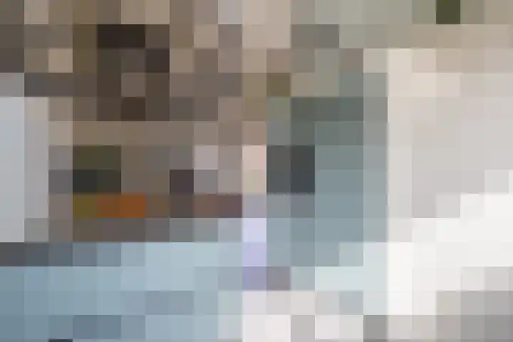 Korenbloemweg 1 Alphen aan den Rijn thumbnail 11