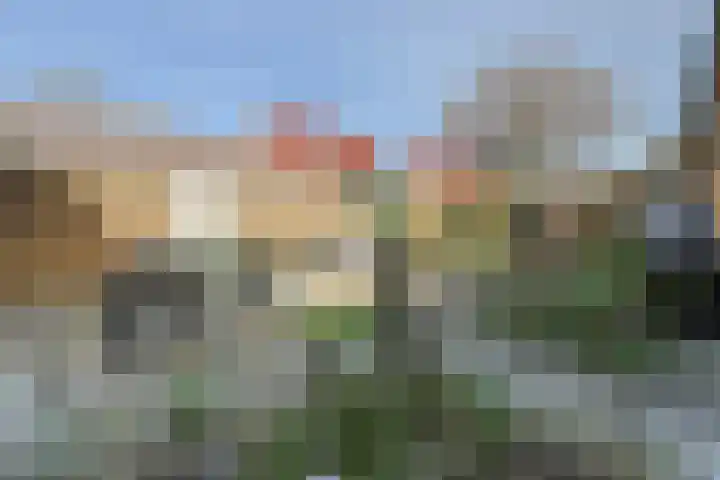 Korenbloemweg 1 Alphen aan den Rijn thumbnail 19