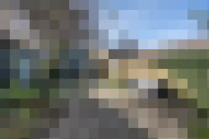 Korenbloemweg 1 Alphen aan den Rijn thumbnail 21