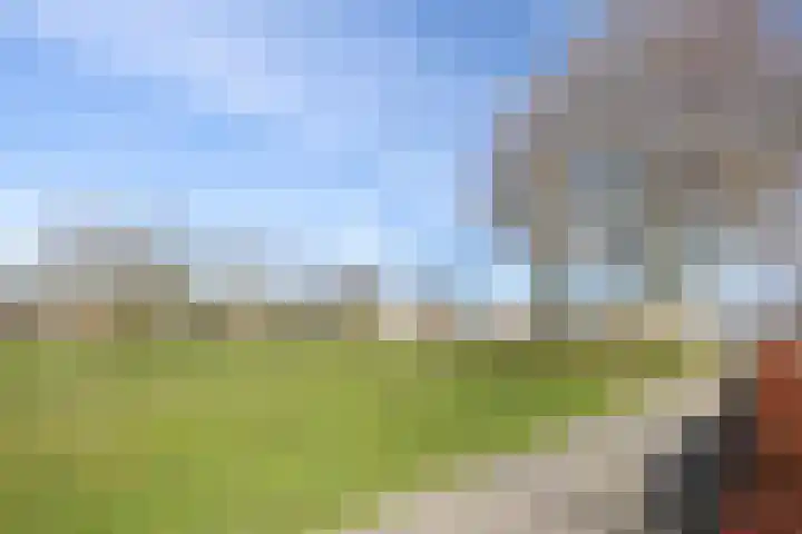 Korenbloemweg 1 Alphen aan den Rijn thumbnail 23