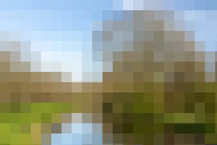 Korenbloemweg 1 Alphen aan den Rijn thumbnail 24
