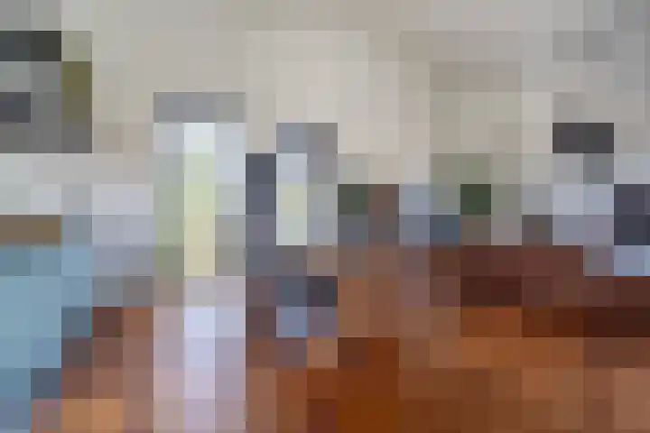 Korenbloemweg 1 Alphen aan den Rijn thumbnail 6