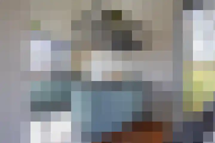 Korenbloemweg 1 Alphen aan den Rijn thumbnail 8