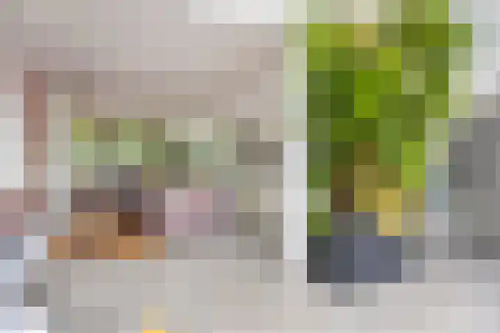 Korenbloemweg 10 Alphen aan den Rijn thumbnail 11