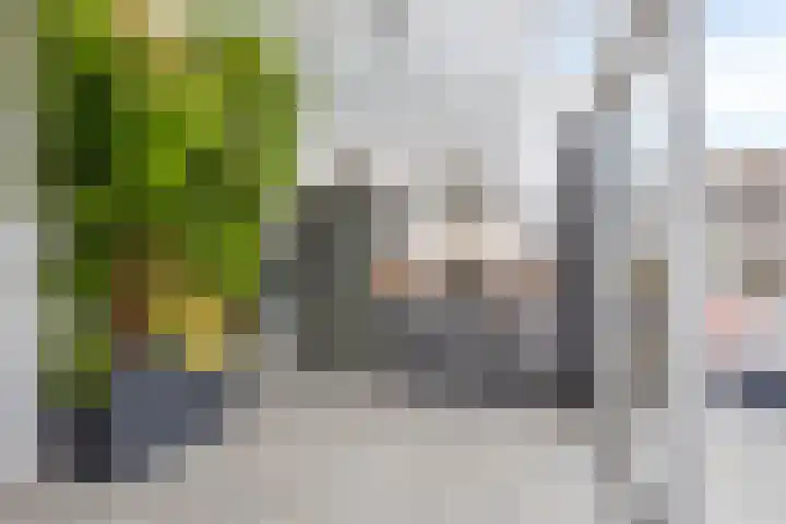 Korenbloemweg 10 Alphen aan den Rijn thumbnail 12