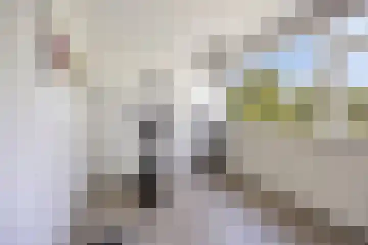 Korenbloemweg 10 Alphen aan den Rijn thumbnail 25