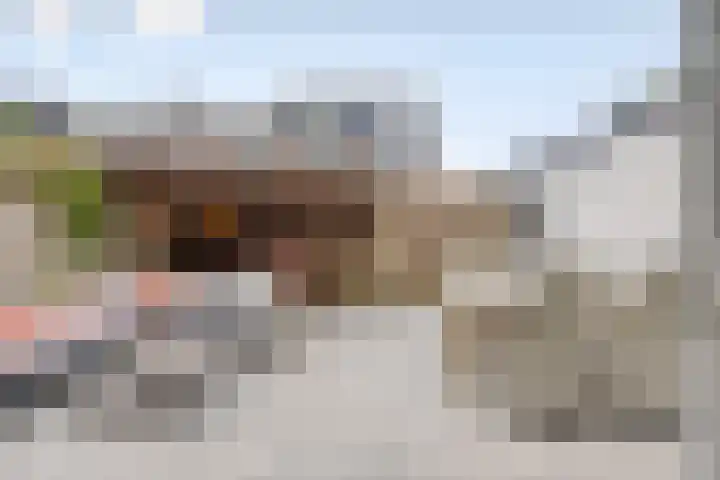 Korenbloemweg 10 Alphen aan den Rijn thumbnail 32