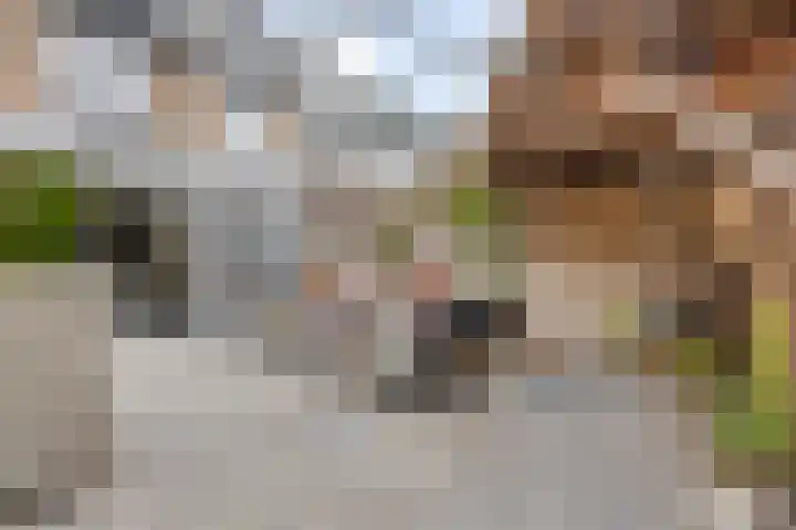 Korenbloemweg 10 Alphen aan den Rijn thumbnail 33