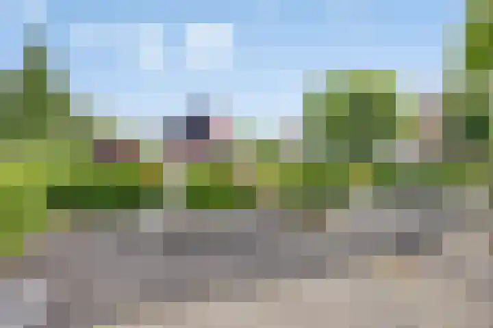 Korenbloemweg 10 Alphen aan den Rijn thumbnail 35